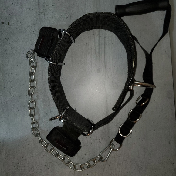 Weightbelt set - Picture 7 of 8